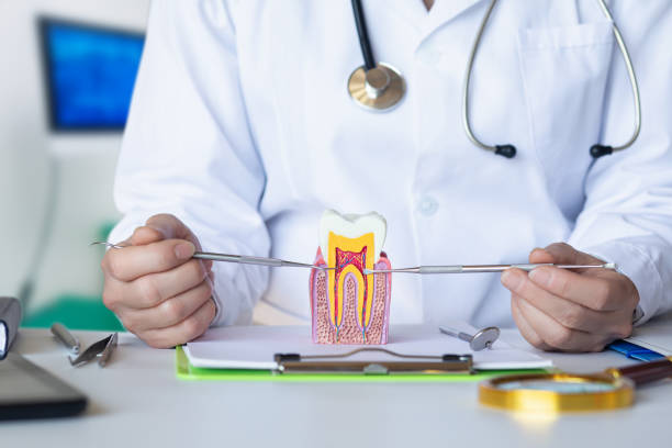 Best Orthodontic Emergency Dentist in Corning, AR